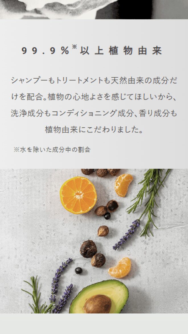 自然派化粧品ルバンシュ フルーツシャンプー＆トリートメント